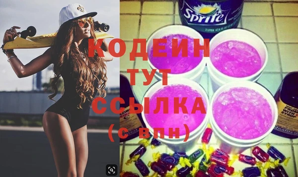 хмурый Нея