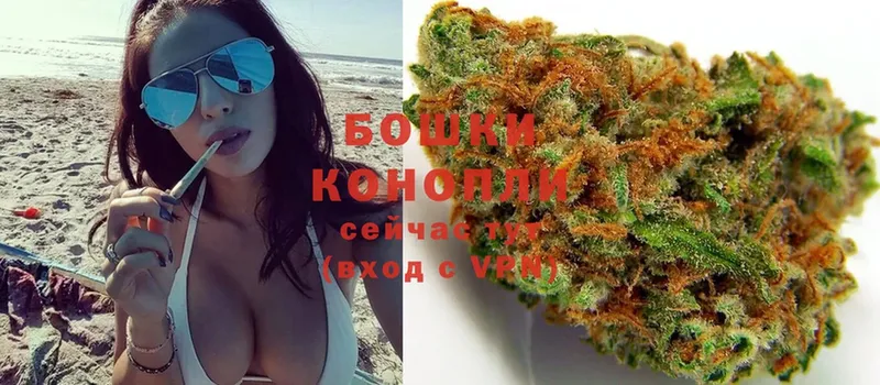 Канабис SATIVA & INDICA  как найти наркотики  Арамиль 